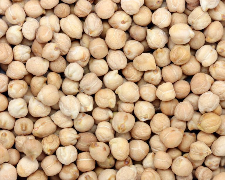 White Chickpeas